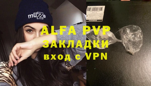 стаф Алзамай