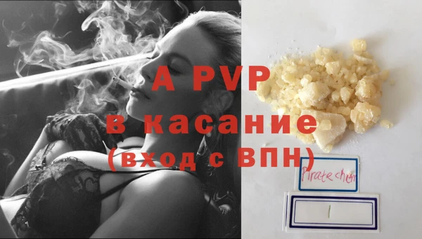 стаф Алзамай